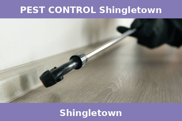 PEST CONTROL Shingletown